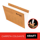 Carpeta Colgante Fleje Plástico Kraft Stand OFICINA Y LIBRERIA RHEIN 