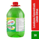 Lavalozas Liquido Concentrado Limon 5 Lt ASEO Y LIMPIEZA VIRGINIA 