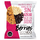 Galletón Sin Azúcar Avena Berries 40 Gr ALIMENTOS ECOVIDA 