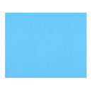 Cartulina Celeste 55X75 Cm OFICINA Y LIBRERIA TORRE 