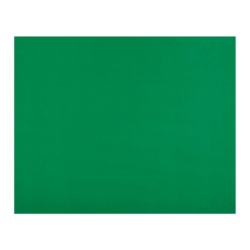 Cartulina Verde Oscuro 55X75 Cm OFICINA Y LIBRERIA TORRE 