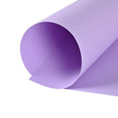 Cartulina Española Lila 50X70 Cm OFICINA Y LIBRERIA TORRE 