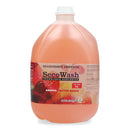 Desodorante Ambiental Liquido 5 Lt Frutal SECOWASH 