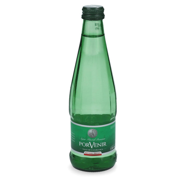 Agua Mineral Sin Gas Envase De Vidrio 300 Cc PORVENIR 