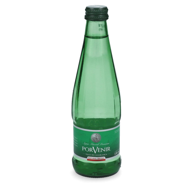 Agua Mineral Sin Gas Envase De Vidrio 300 Cc PORVENIR 
