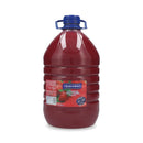Jugo En Bidon Concentrado 5 Lt Frutilla TRAVERSO 