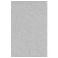 Cartón Piedra Gris 3.0 mm 55 X 77 cm TORRE Gris 